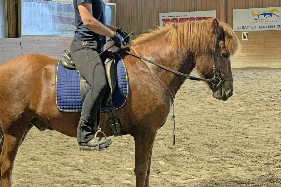 Lärare Sara Sandqvist rider en fuxfärgad islandshäst i ridhuset