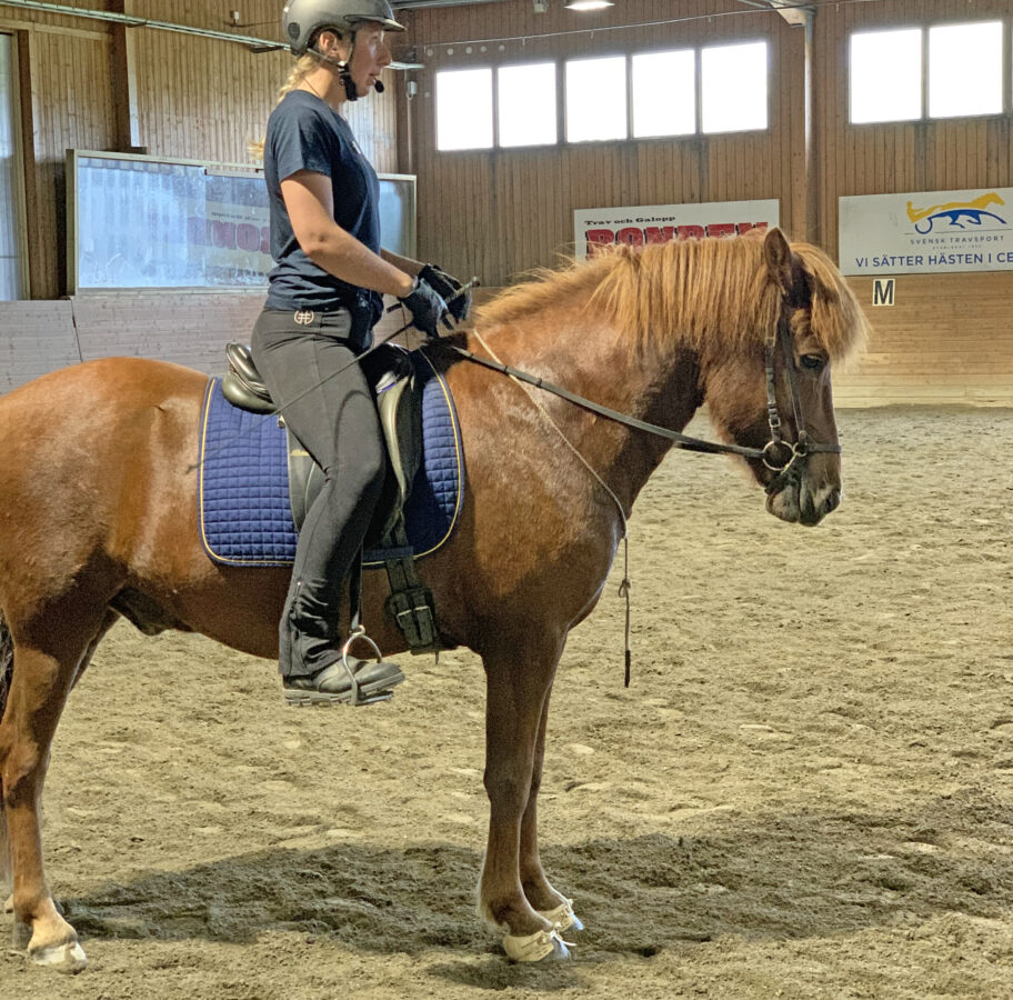 Lärare Sara Sandqvist rider en fuxfärgad islandshäst i ridhuset