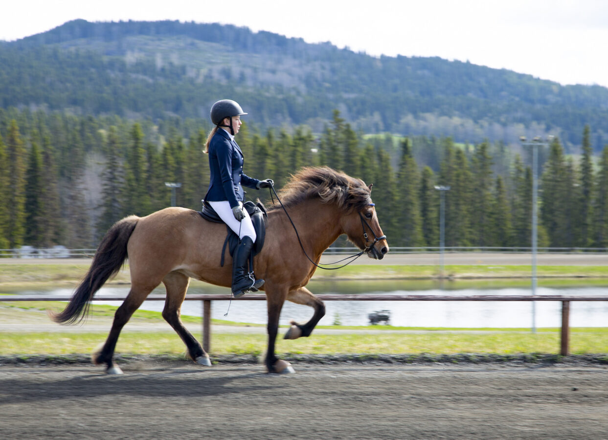 En person iförd ridutrustning och hjälm rider en brun häst i trav på ett utomhusspår i Vaena, med träd och kullar i bakgrunden.