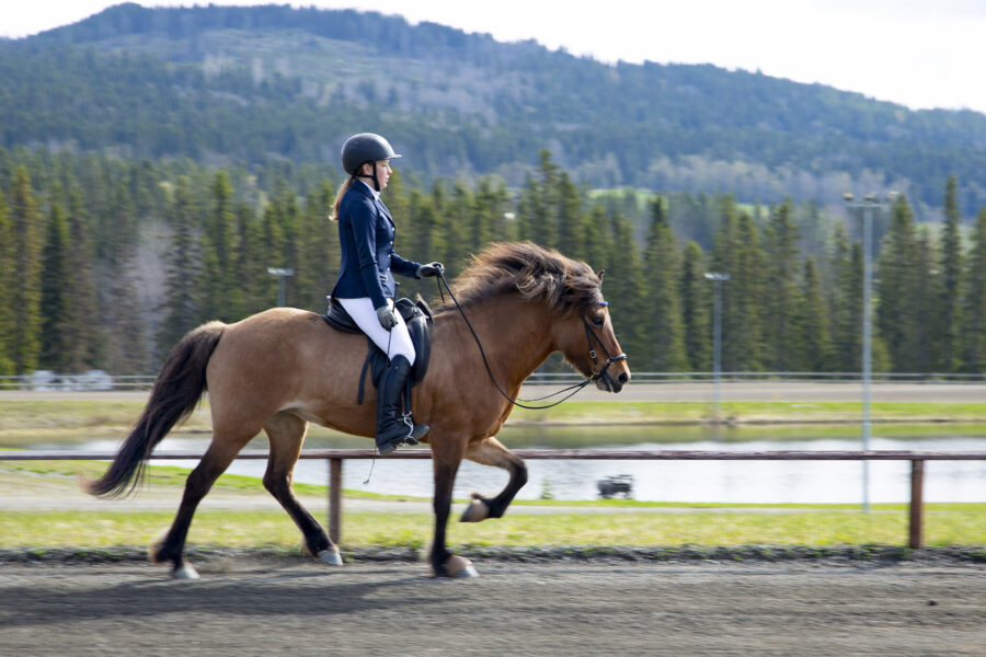 En person iförd ridutrustning och hjälm rider en brun häst i trav på ett utomhusspår i Vaena, med träd och kullar i bakgrunden.