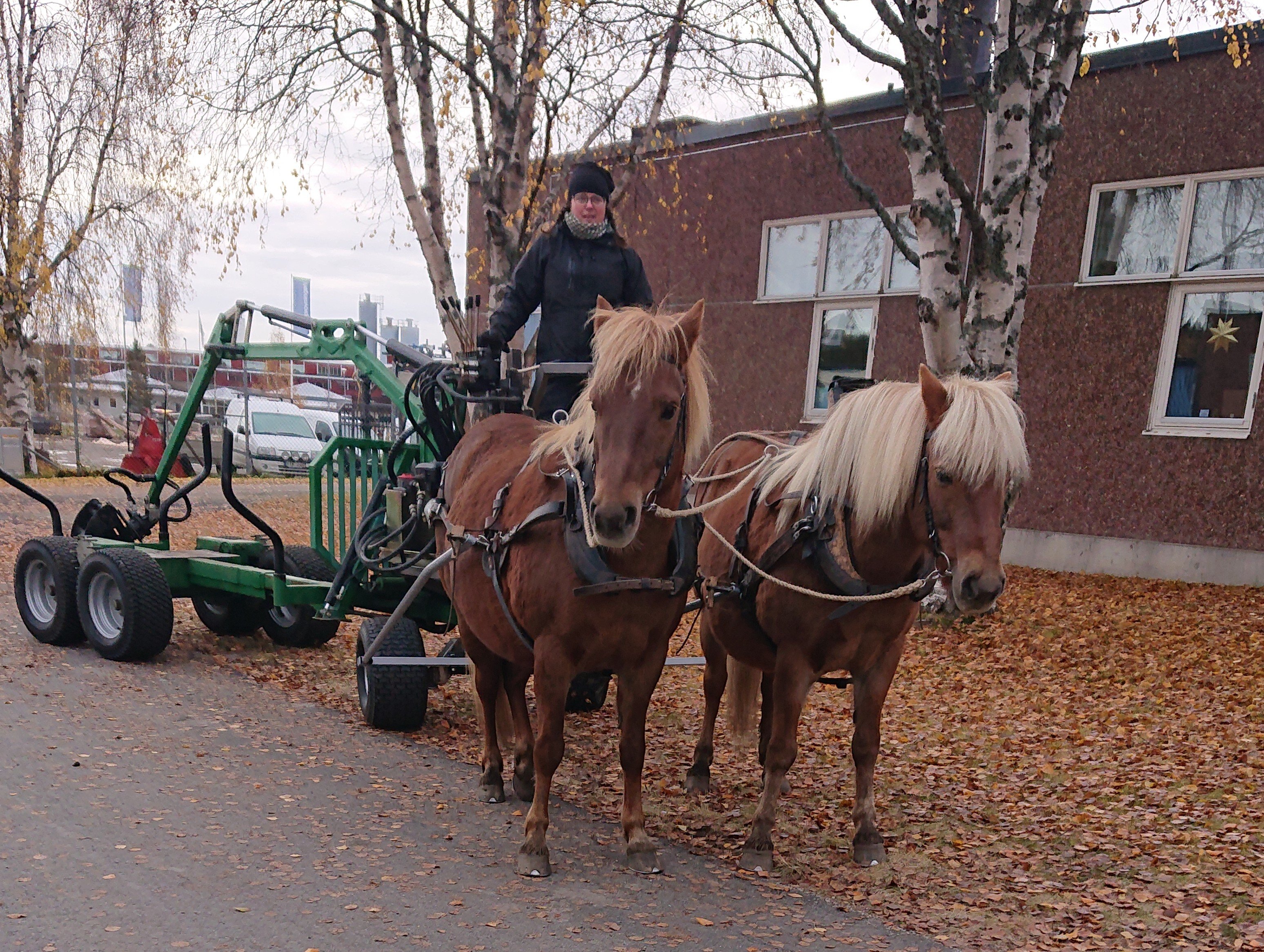 Tullingsås hästgård — Wången