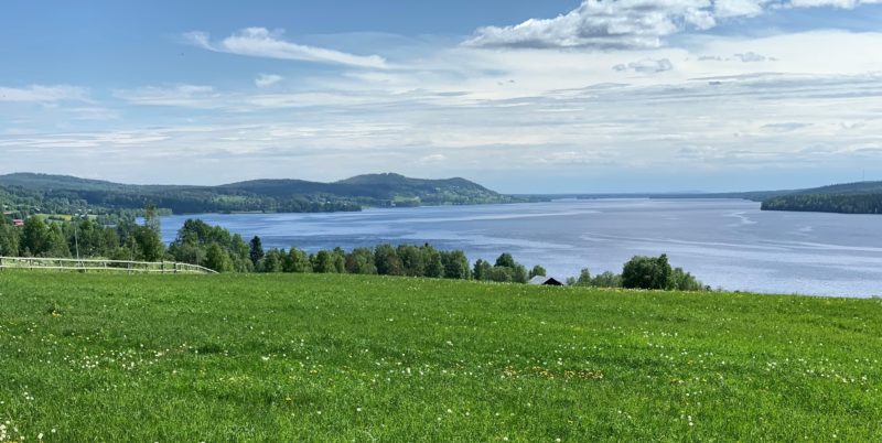 Utsikt över grön äng och Alsensjön