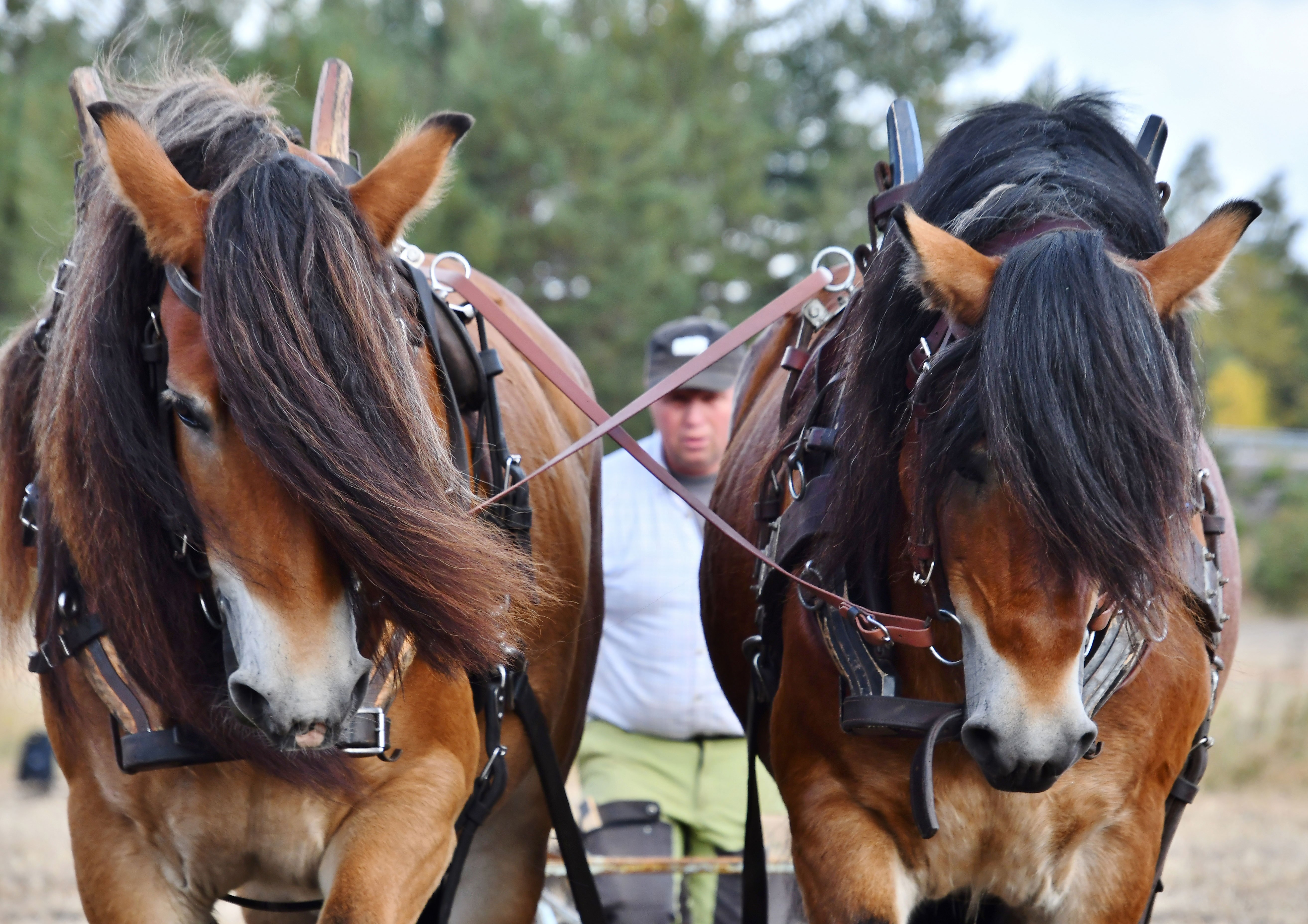 April Oneil bilan porno tomosha qiling Petropavlovsk shahridagi fohishalar