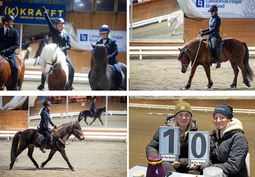 Bildcollage från Wångens islandshästdagar, tävlingar clinics med ridning i kapson och repgrimma