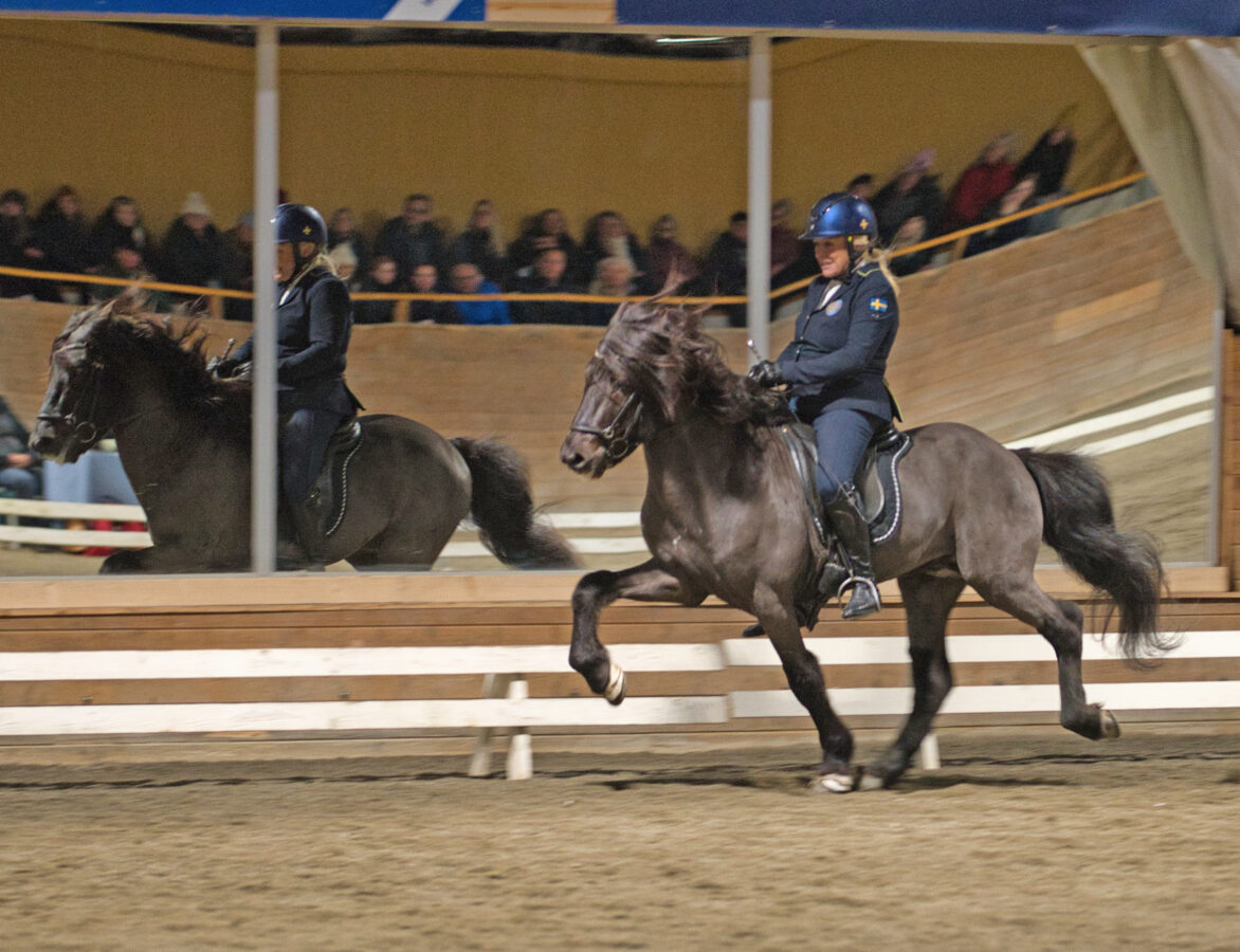 En kvinna rider på en mörk häst inomhus på Wångens, med en spegel som reflekterar scenen och åskådare som tittar på under Wångens Islandshästdagar.