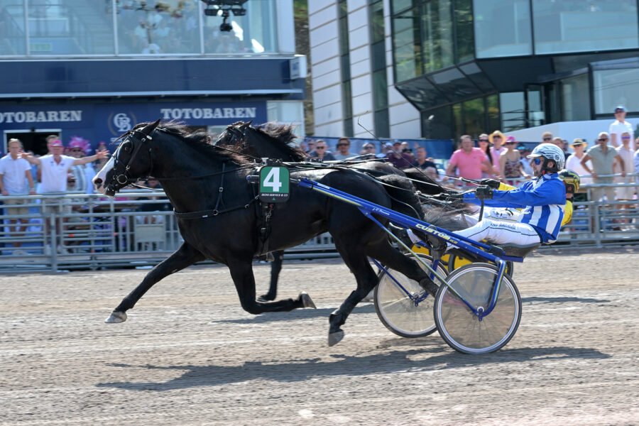 Svart kallblodstravare med vit bläs passerar mållinjen på Solvalla med Magnus Djuse i sulkyn.