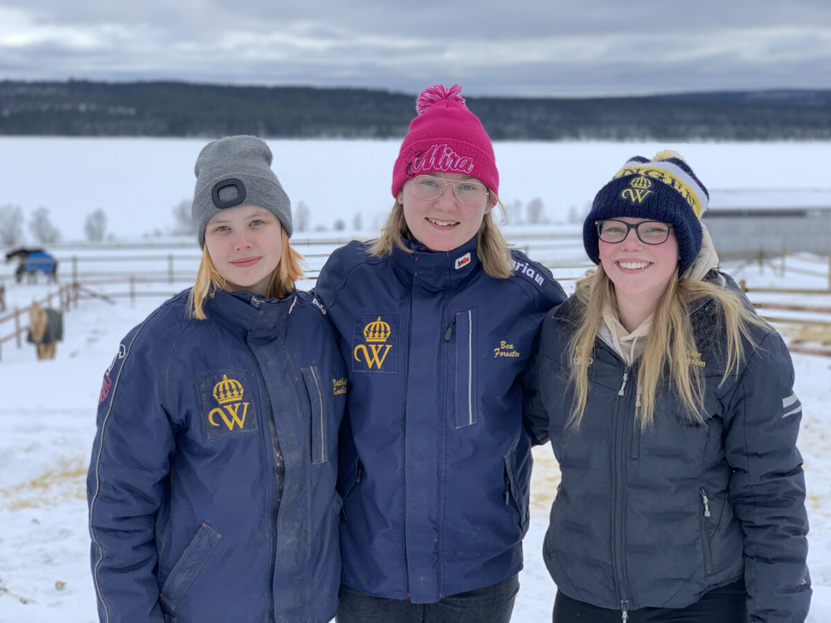 Tre Wångenelever står i en hästhage. Det är vinter och de har mössor och Wångenjackor på sig.