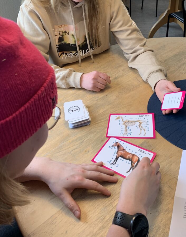 Två personer sitter vid ett bord och spelar ett kortspel.
