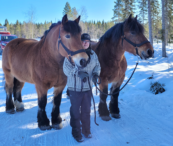 Kvinna står i stickad mönstrad tröja utomhus en vinterdag. Hon står mellan två stora brukshästar iförda grimma.