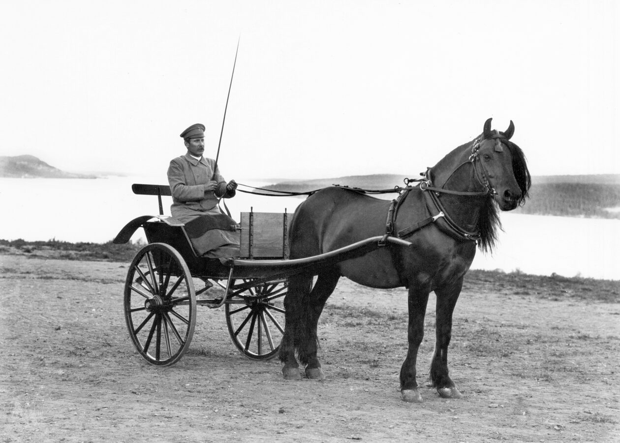 En svartvit bild visar en man i uniform som sitter i en tvåhjulig vagn som dras av en mörk häst på en grusväg med utsikt över Alsensjön.