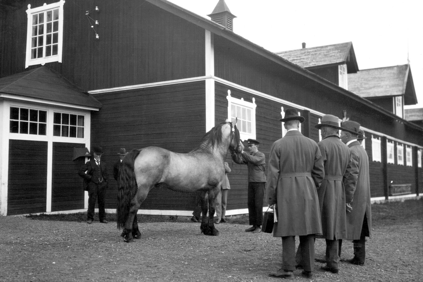 En grupp män i rockar och hattar tittar på en stor häst som står utanför en mörk ladugård i trä med vita kanter.