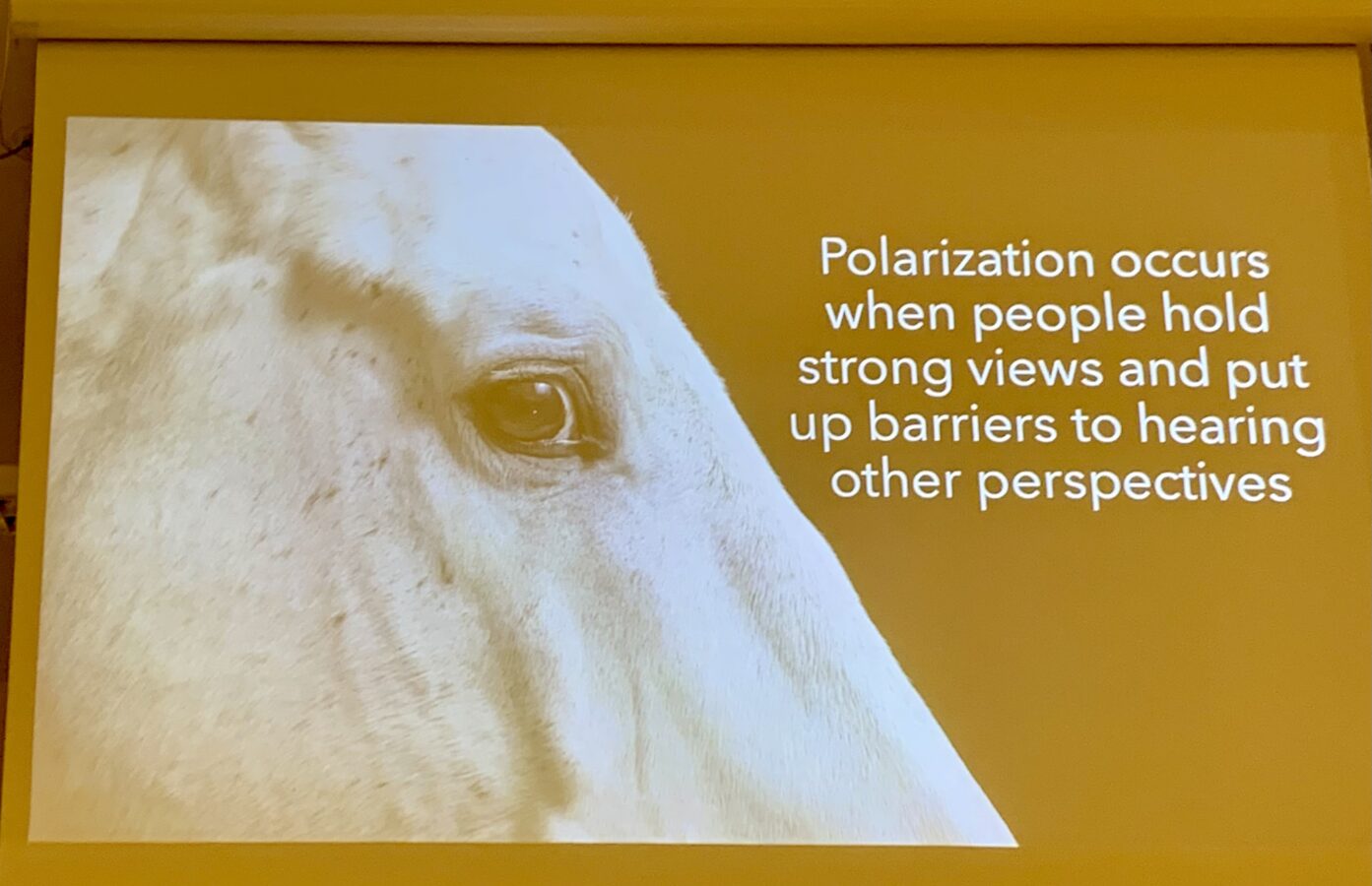 Bild från presentationen: närbild på en vit hästs huvud och texten Polarization occurs when people hold strong views and put up barriers to hearing other perspectives.