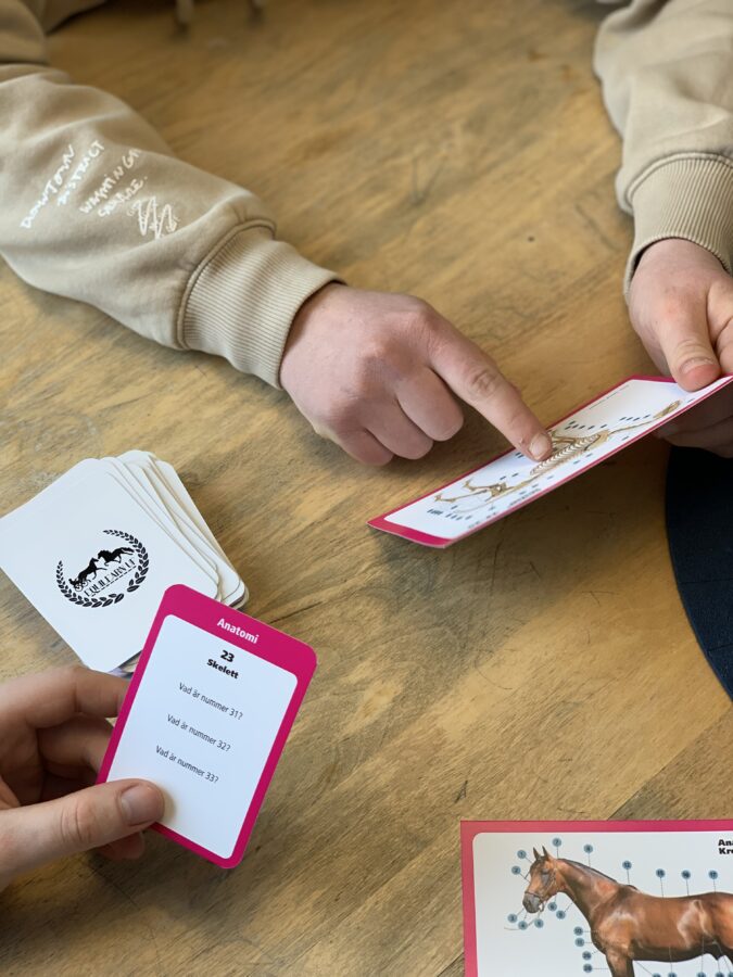 personer sitter runt ett bord och spelar ett kunskapsspelet EquiLearn med hästfrågor, facit syns inte i bild.