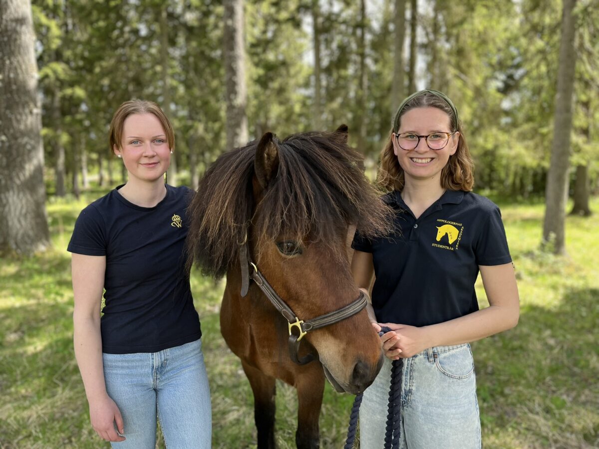 Två unga kvinnor står på var sin sida om en brun islandshäst. De står i en skog en solig dag och ler mot kameran. De nyexaminerade hippologerna har genomfört en studie om musik påverkar rytmen i tölten.