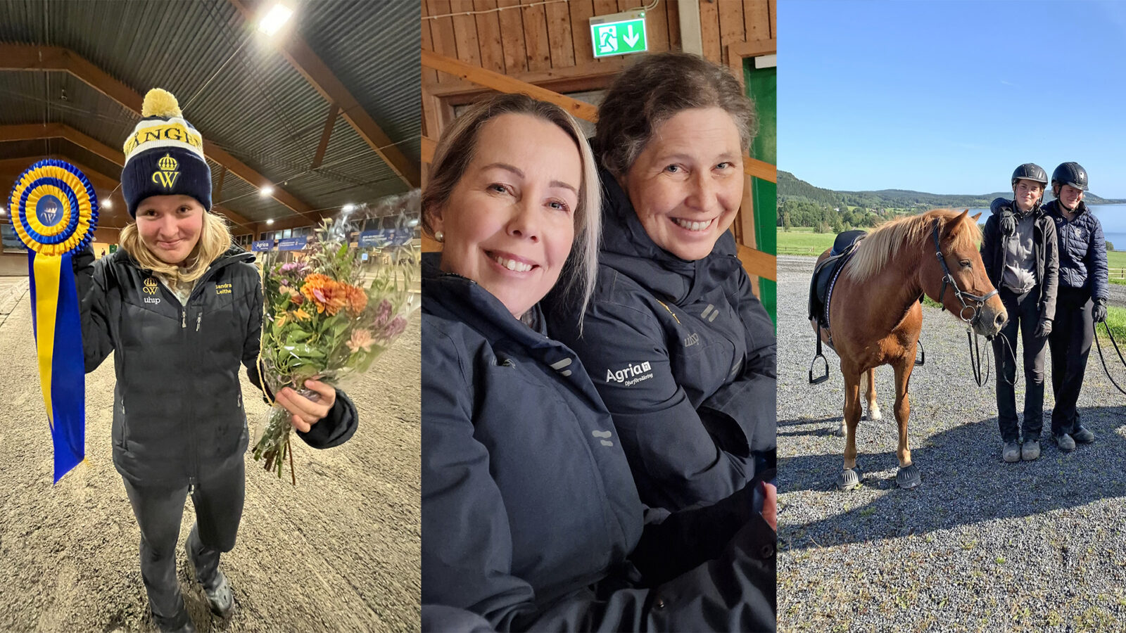 Tre bilder med glada personer i ridhus och utomhus med islandshäst.