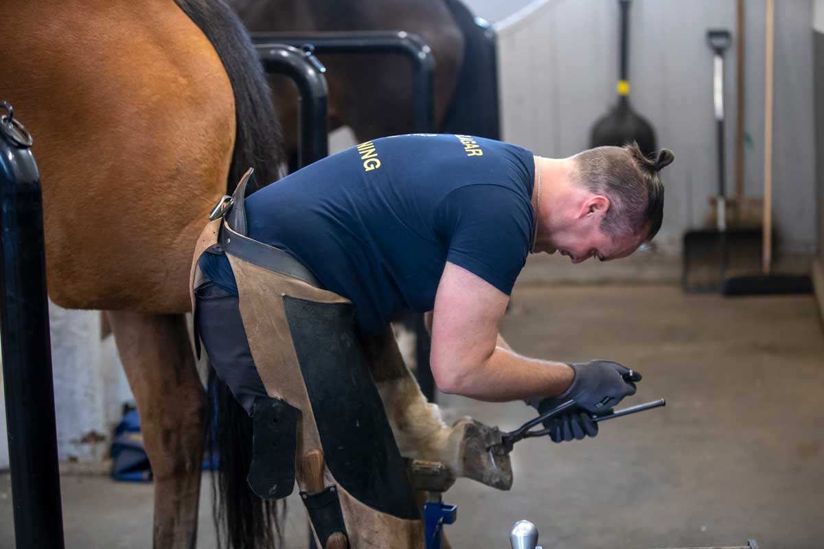 En hovslagare i arbete