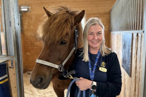 Marita står i stallet med islandshästen Hrodur.
