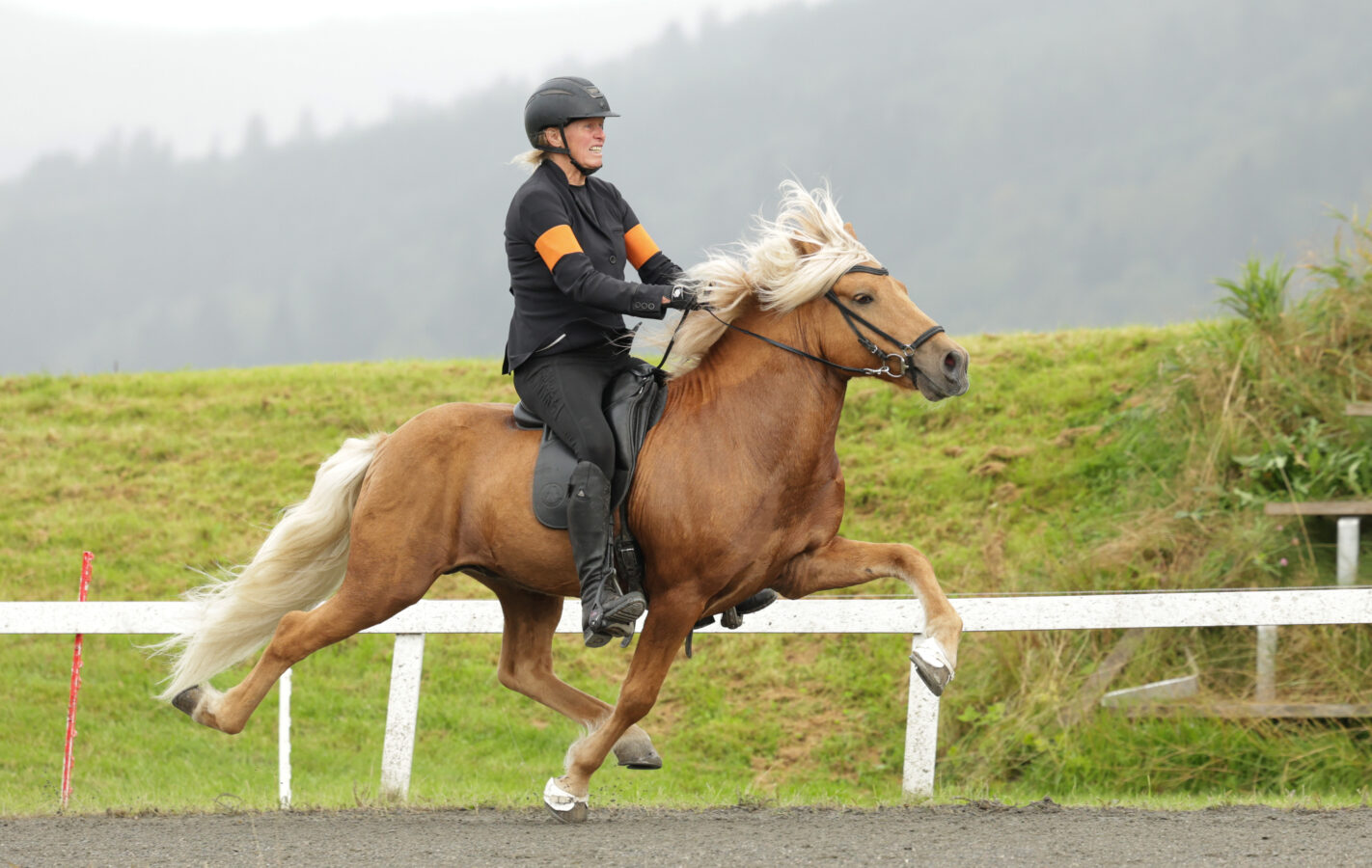 Kvinna rider en fuxfärgad islandshäst med ljus man i pass på en bana. Kvinnan har svarta kläder och oranga armbindlar på sig.