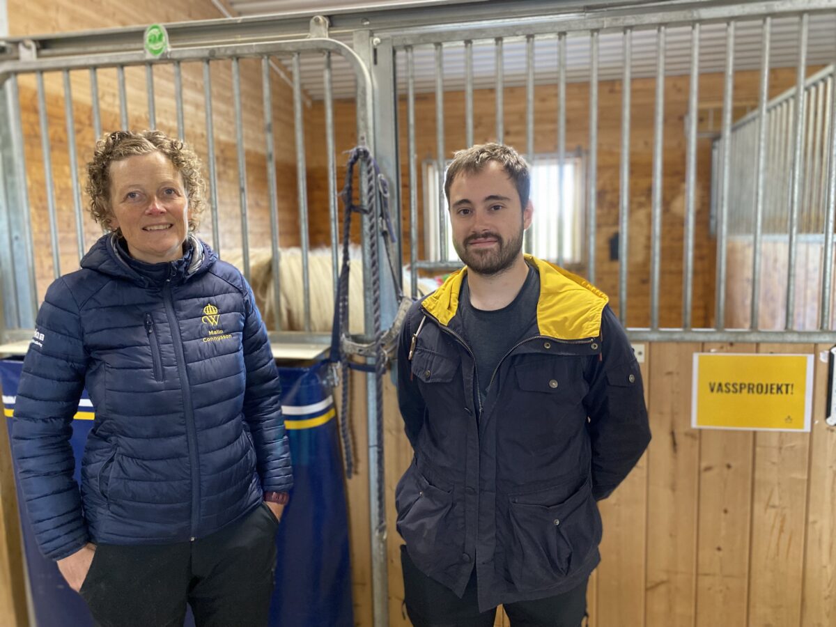 En kvinna och en man står i ett stall.