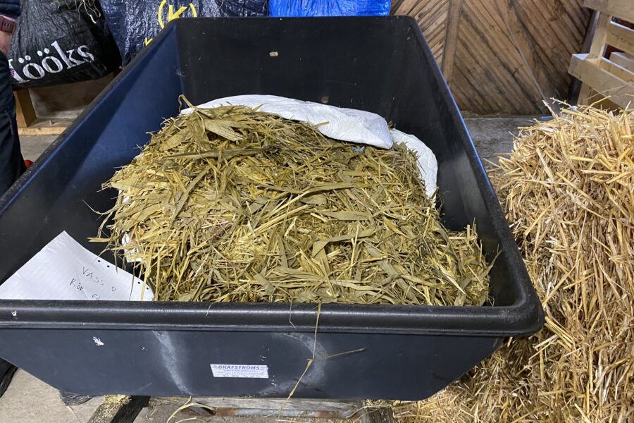 En svart skottkärra fylld med vassilage